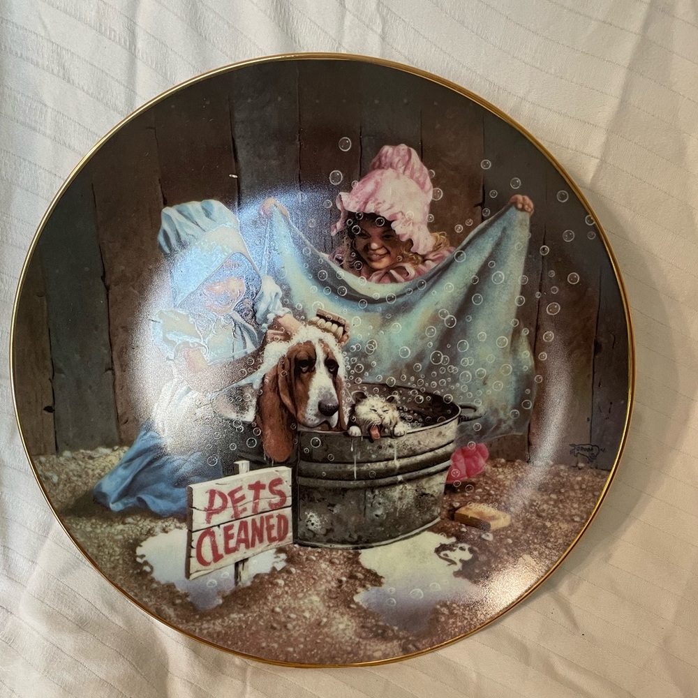 Charming Vintage Wall Plate with Blue and Pink Accents
